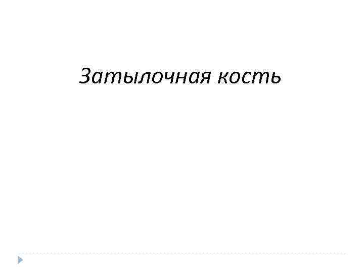 Затылочная кость 