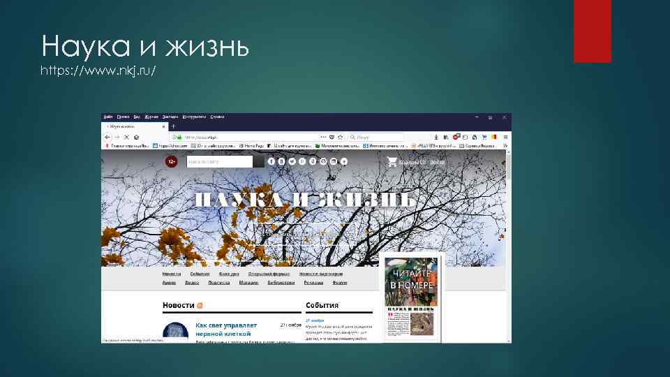 Наука и жизнь https: //www. nkj. ru/ 