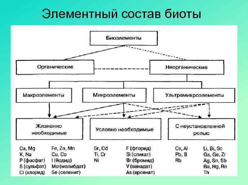 Эволюционная схема биоты была разработана кем