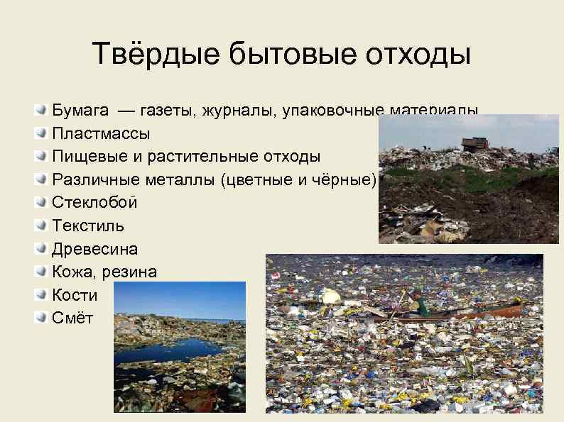 Твёрдые бытовые отходы Бумага — газеты, журналы, упаковочные материалы Пластмассы Пищевые и растительные отходы