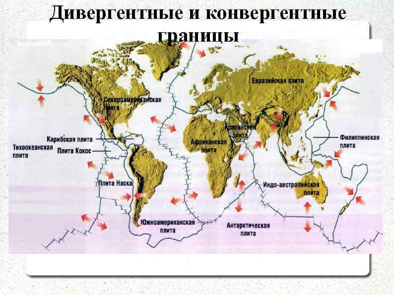 Дивергентные и конвергентные границы 