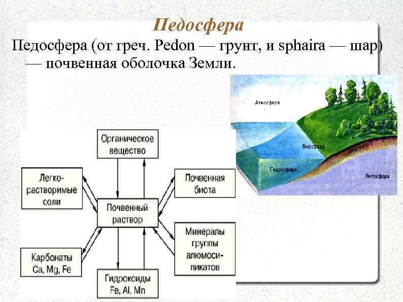 Педосфера (от греч. Pedon — грунт, и sphaira — шар) — почвенная оболочка Земли.