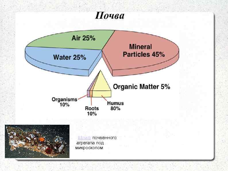 Почва Шлиф почвенного агрегата под микроскопом 