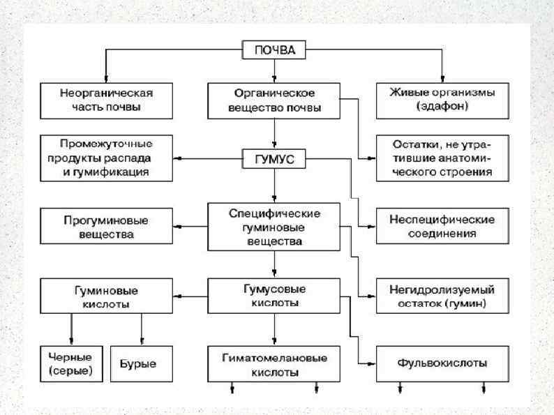 Содержание параграфа