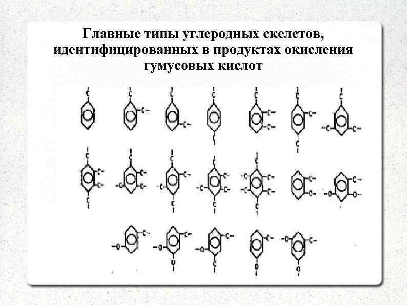 Главные типы углеродных скелетов, идентифицированных в продуктах окисления гумусовых кислот 