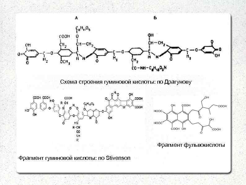 Схема строения гуминовой кислоты: по Драгунову Фрагмент фульвокислоты Фрагмент гуминовой кислоты: по Stivenson 