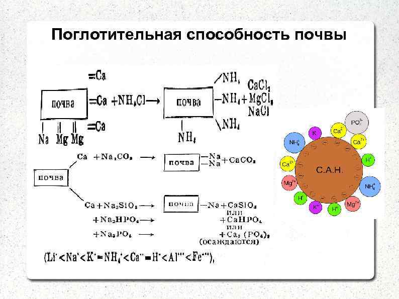 Поглотительная способность почвы 