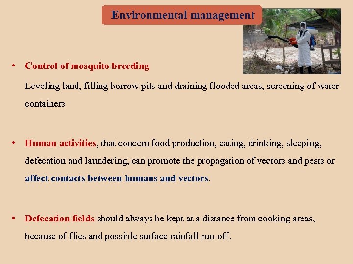 Environmental management • Control of mosquito breeding Leveling land, filling borrow pits and draining