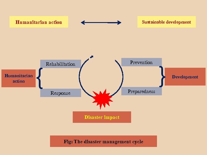 Humanitarian action { Prevention Rehabilitation Preparedness Response Disaster impact Fig: The disaster management cycle