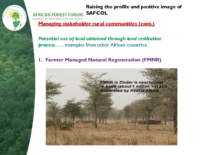 Raising the profile and positive image of SAFCOL Managing stakeholder rural communities (cont. )