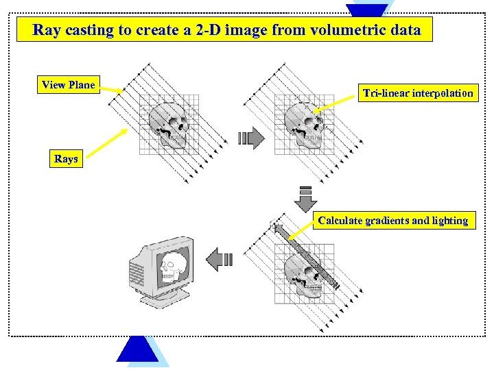 Ray casting to create a 2 -D image from volumetric data View Plane Tri-linear