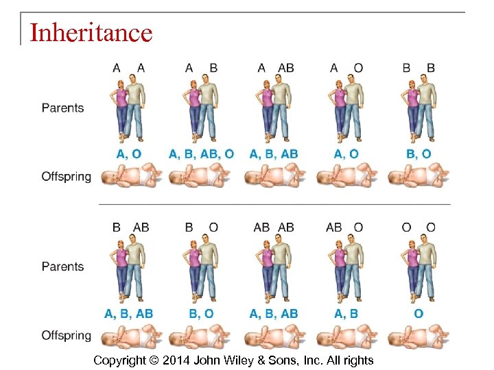Inheritance Copyright © 2014 John Wiley & Sons, Inc. All rights 