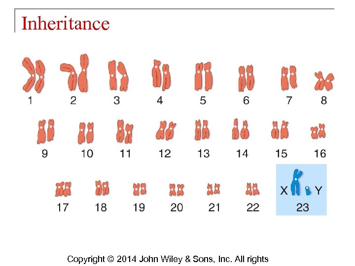 Inheritance Copyright © 2014 John Wiley & Sons, Inc. All rights 