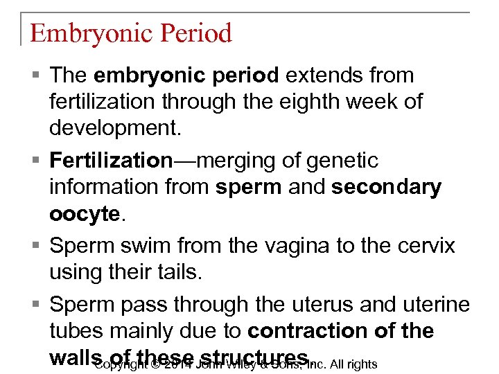 Embryonic Period § The embryonic period extends from fertilization through the eighth week of