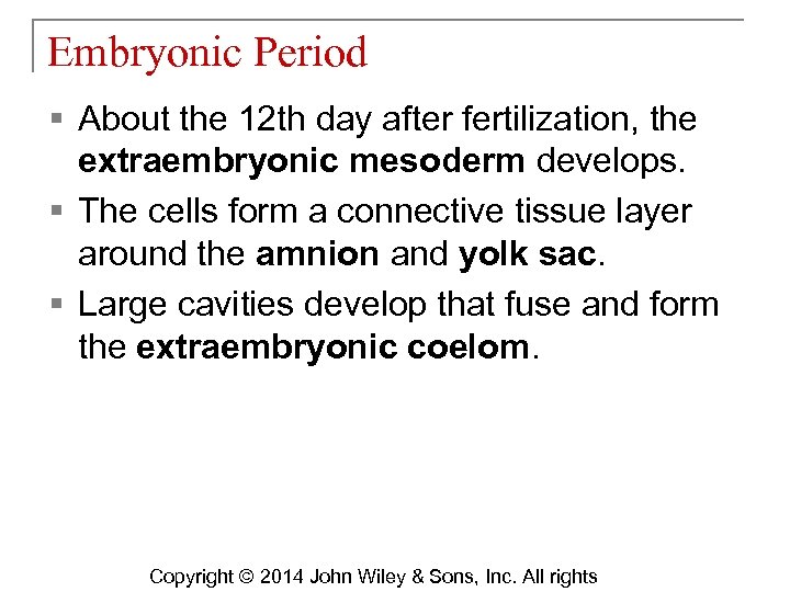 Embryonic Period § About the 12 th day after fertilization, the extraembryonic mesoderm develops.