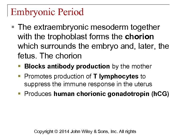 Embryonic Period § The extraembryonic mesoderm together with the trophoblast forms the chorion which