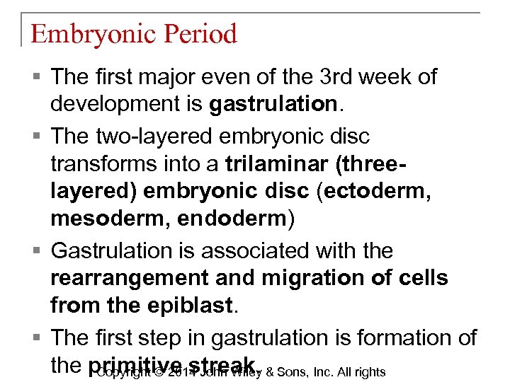 Embryonic Period § The first major even of the 3 rd week of development