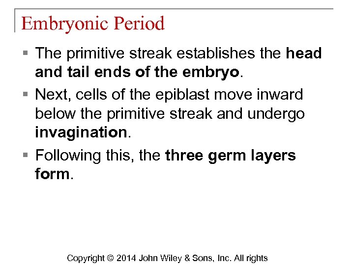 Embryonic Period § The primitive streak establishes the head and tail ends of the