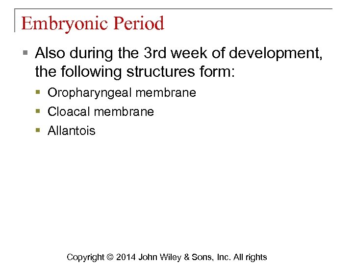 Embryonic Period § Also during the 3 rd week of development, the following structures