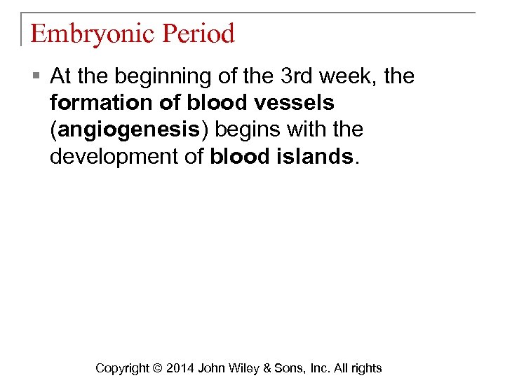 Embryonic Period § At the beginning of the 3 rd week, the formation of