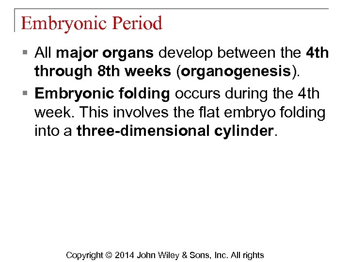 Embryonic Period § All major organs develop between the 4 th through 8 th