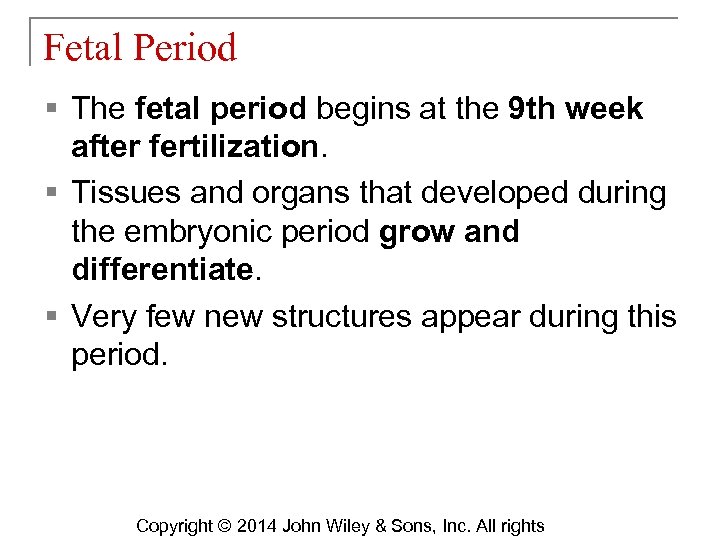 Fetal Period § The fetal period begins at the 9 th week after fertilization.