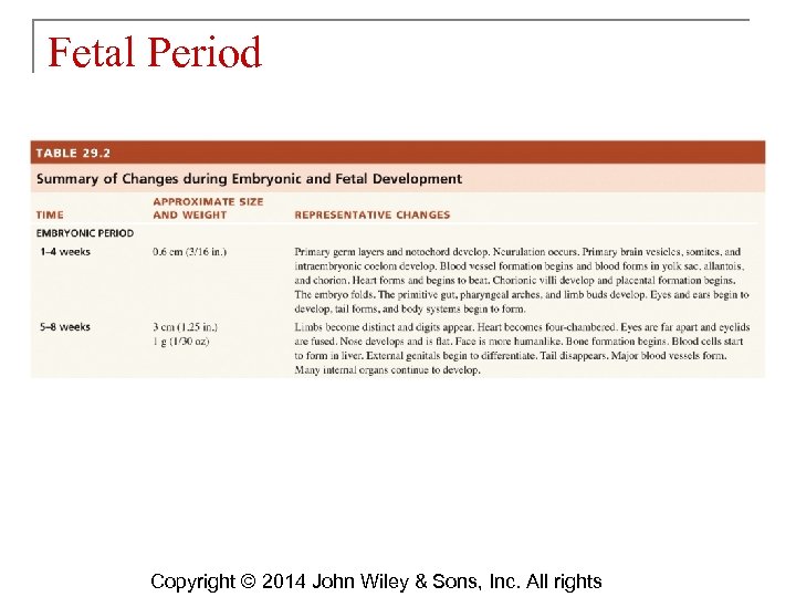 Fetal Period Copyright © 2014 John Wiley & Sons, Inc. All rights 