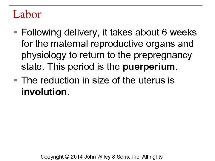 Labor § Following delivery, it takes about 6 weeks for the maternal reproductive organs