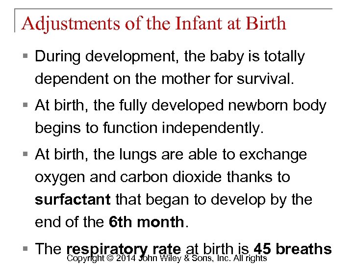 Adjustments of the Infant at Birth § During development, the baby is totally dependent