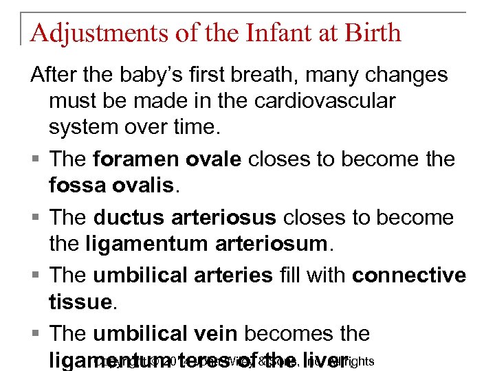 Adjustments of the Infant at Birth After the baby’s first breath, many changes must