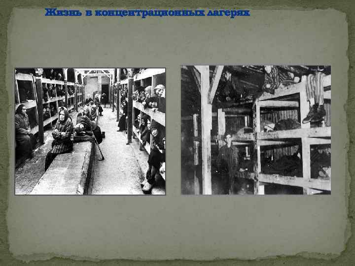 Жизнь в концентрационных лагерях 