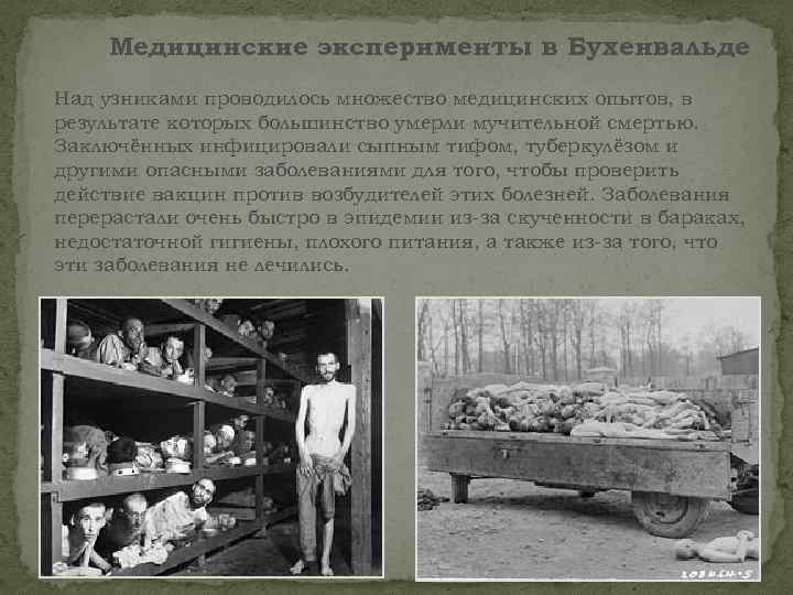 Медицинские эксперименты в Бухенвальде Над узниками проводилось множество медицинских опытов, в результате которых большинство