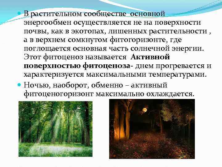  В растительном сообществе основной энергообмен осуществляется не на поверхности почвы, как в экотопах,