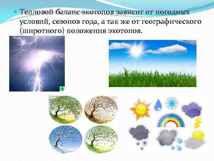  Тепловой баланс экотопов зависит от погодных условий, сезонов года, а так же от