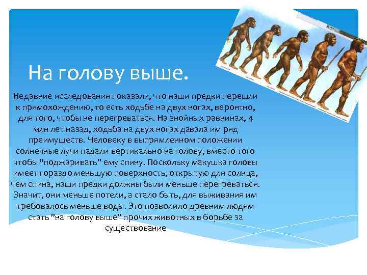 На голову выше. Недавние исследования показали, что наши предки перешли к прямохождению, то есть