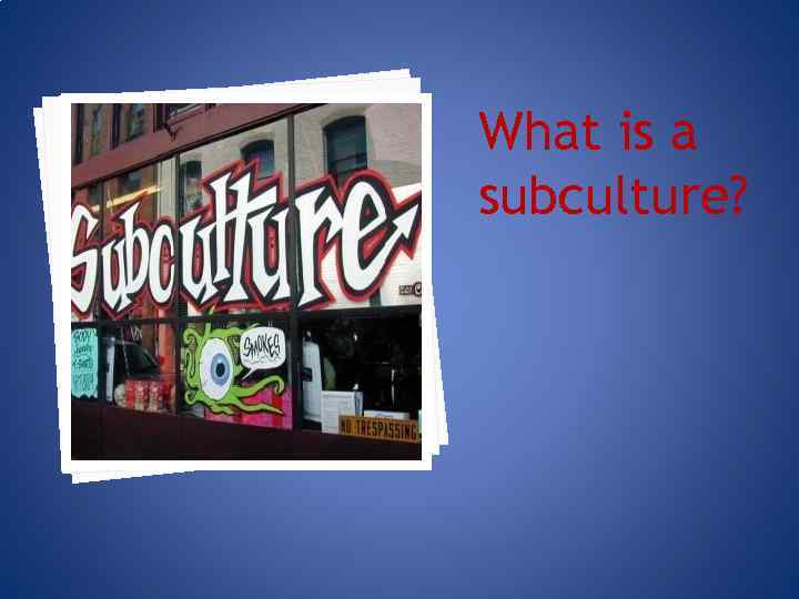 What is a subculture? 