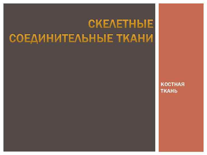 СКЕЛЕТНЫЕ СОЕДИНИТЕЛЬНЫЕ ТКАНИ КОСТНАЯ ТКАНЬ 