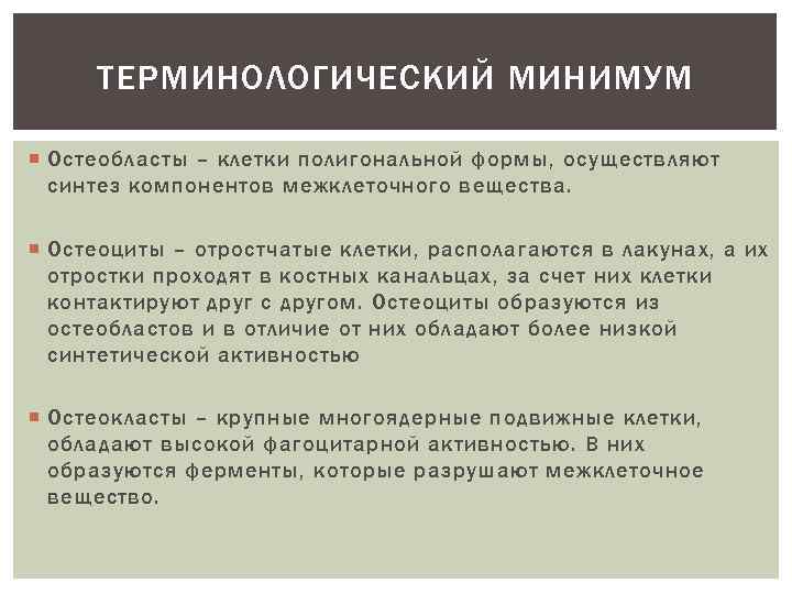 ТЕРМИНОЛОГИЧЕСКИЙ МИНИМУМ Остеобласты – клетки полигональной формы, осуществляют синтез компонентов межклеточного вещества. Остеоциты –