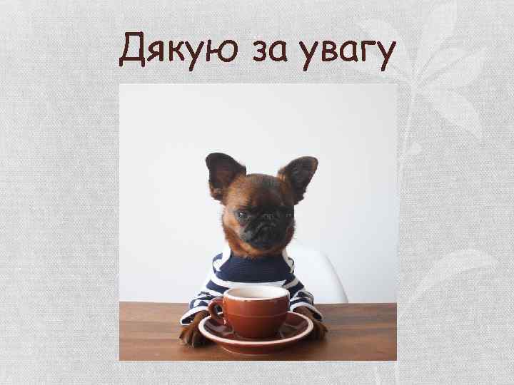 Дякую за увагу 