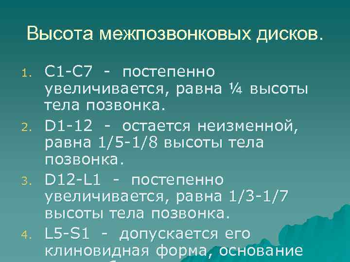 Высота межпозвонковых дисков. 1. 2. 3. 4. C 1 -C 7 - постепенно увеличивается,