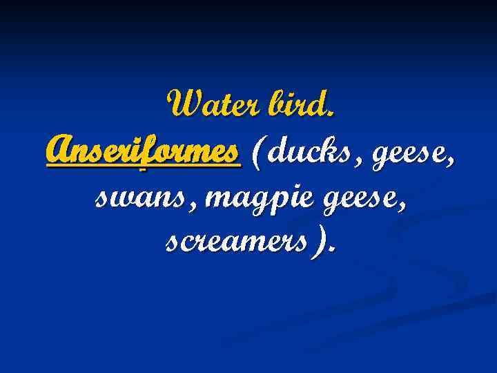 Water bird. Anseriformes (ducks, geese, swans, magpie geese, screamers). 