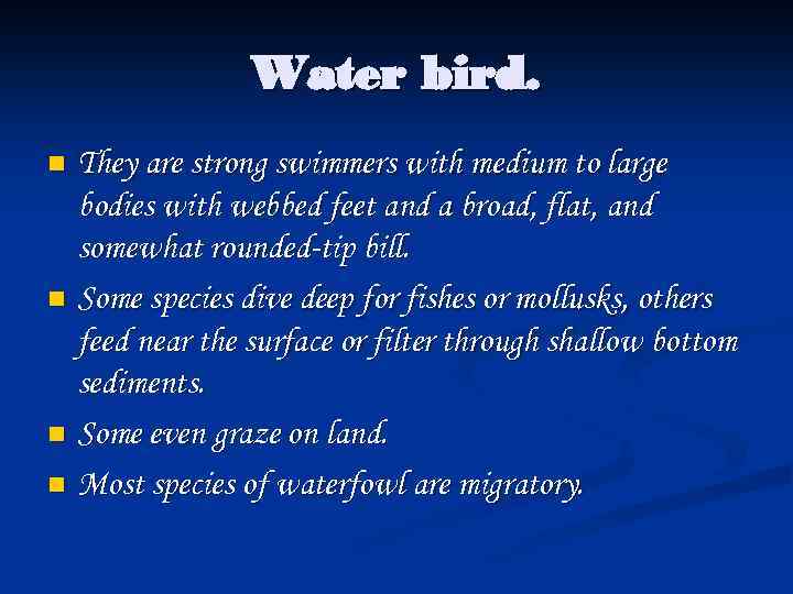 Water bird. They are strong swimmers with medium to large bodies with webbed feet