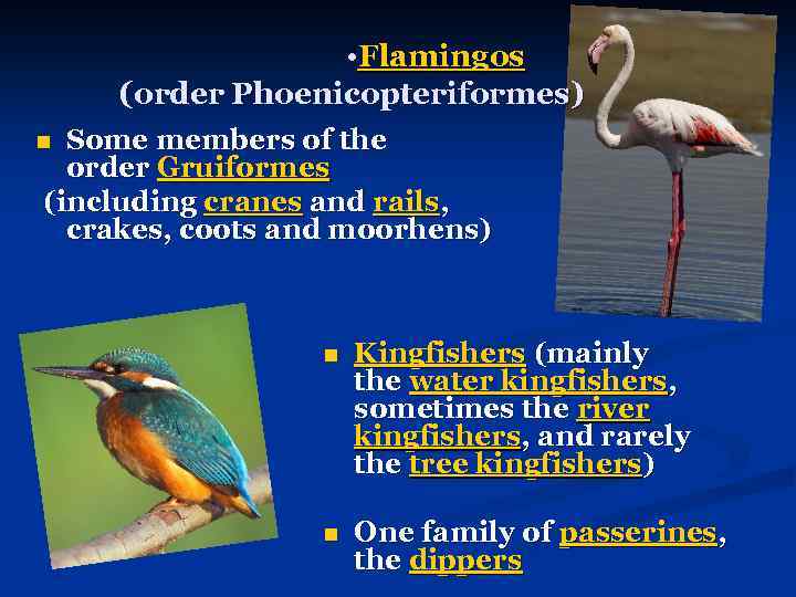  • Flamingos (order Phoenicopteriformes) Some members of the order Gruiformes (including cranes and