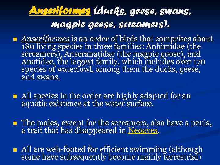 Anseriformes (ducks, geese, swans, magpie geese, screamers). n Anseriformes is an order of birds