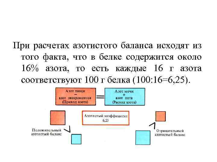 При расчетах азотистого баланса исходят из того факта, что в белке содержится около 16%