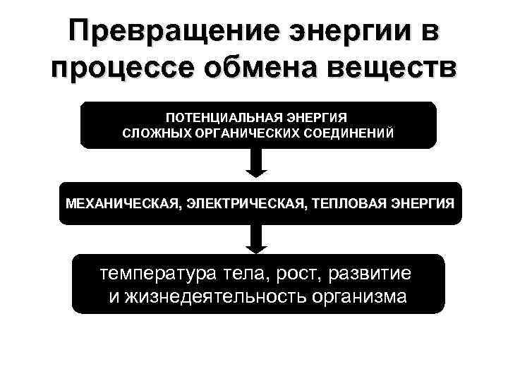 Обмен веществ и превращение энергии представляет собой