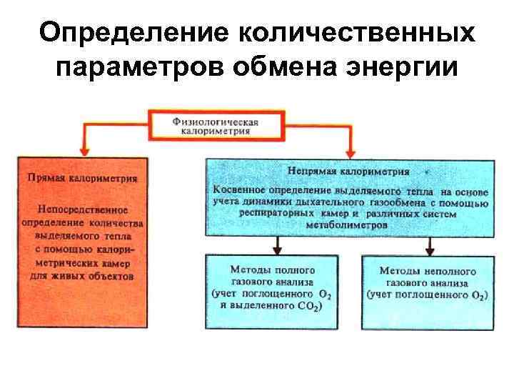 Определение количественных параметров обмена энергии 