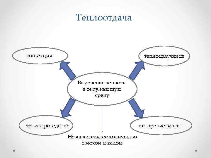 Теплоотдача конвекция теплоизлучение Выделение теплоты в окружающую среду теплопроведение Незначительное количество с мочой и