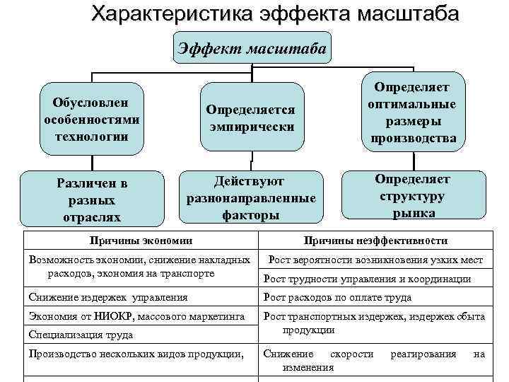 Характеристика эффекта масштаба Эффект масштаба Обусловлен особенностями технологии Определяется эмпирически Определяет оптимальные размеры производства