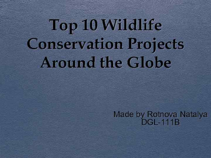 Top 10 Wildlife Conservation Projects Around the Globe Made by Rotnova Natalya DGL-111 B